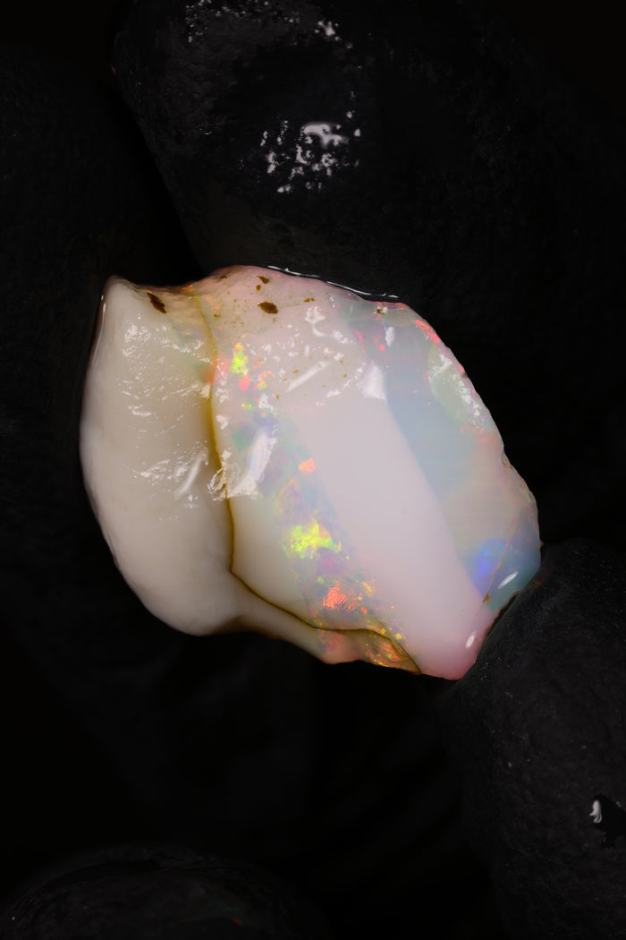 1.26g Rough Ethiopian Chalk Opal