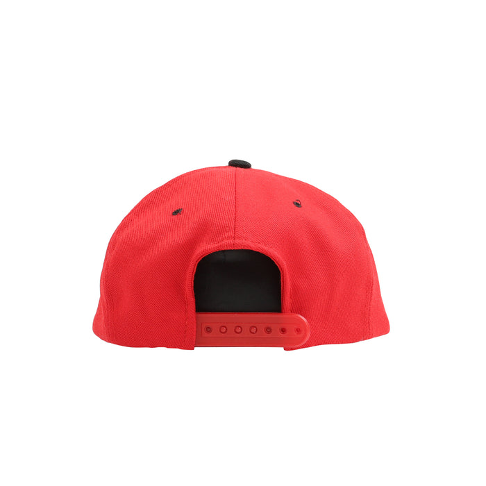 Early 90S The Grateful Dead Cap