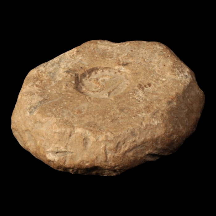 Roman or Byzantine Commercial Weight - c. 1 to 700 CE - Roman or Byzantine - 10/10/23 Auction