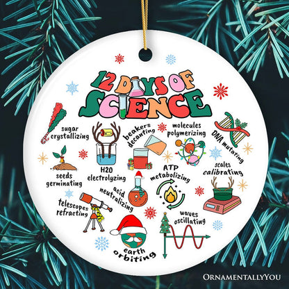 12 Days of Science Ornament, Christmas Gift for Scientist Nerd or Teacher Ceramic Ornament OrnamentallyYou Circle