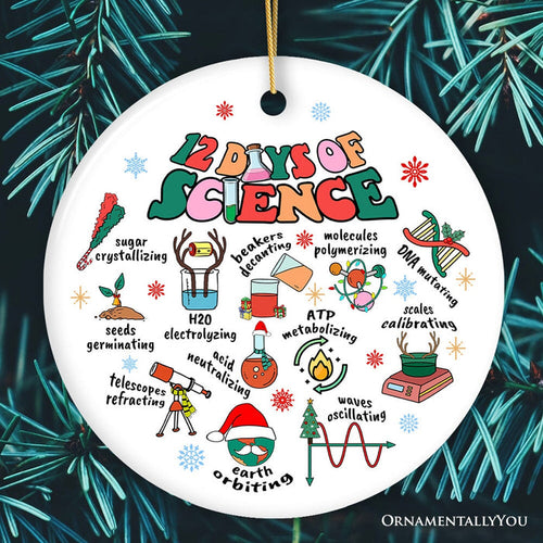 12 Days of Science Ornament, Christmas Gift for Scientist Nerd or Teacher Ceramic Ornament OrnamentallyYou Circle