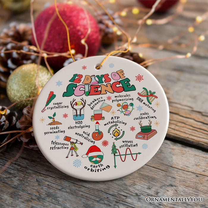 12 Days of Science Ornament, Christmas Gift for Scientist Nerd or Teacher Ceramic Ornament OrnamentallyYou