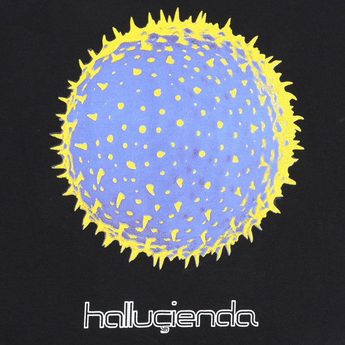 2015 The Hacienda