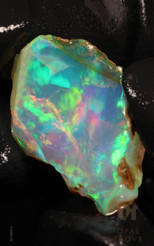 2.93g Rough Ethiopian Chalk Opal