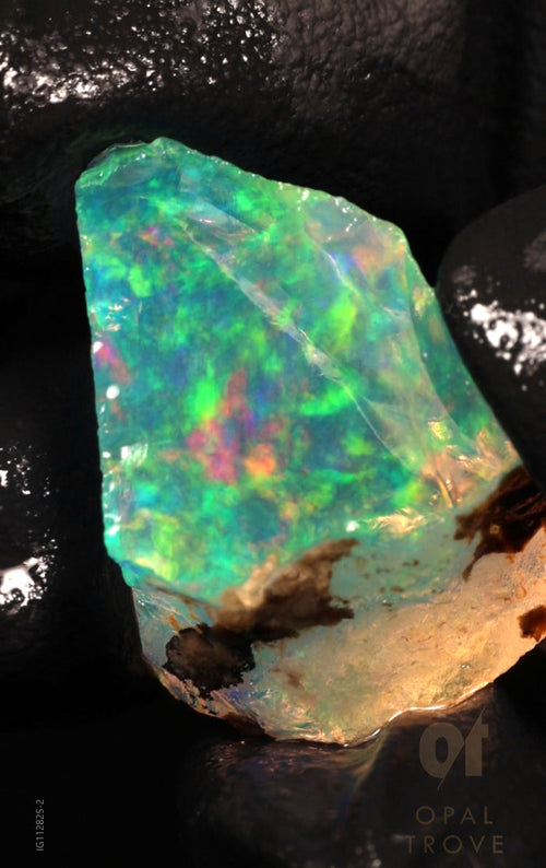 3.63g Rough Ethiopian Chalk Opal