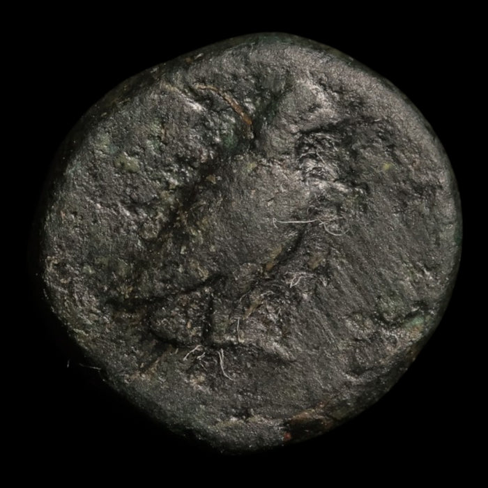 Aeolis, City of Kyme, AE Chalkous - c. 300 to 250 BCE - Greek World