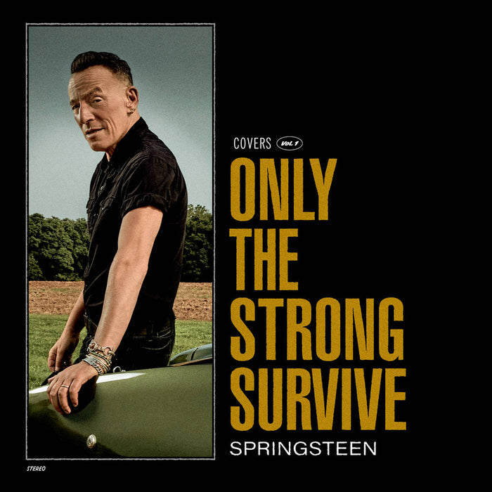BRUCE SPRINGSTEEN - ONLY THE STRONG SURVIVE - 2-LP - VINYL LP