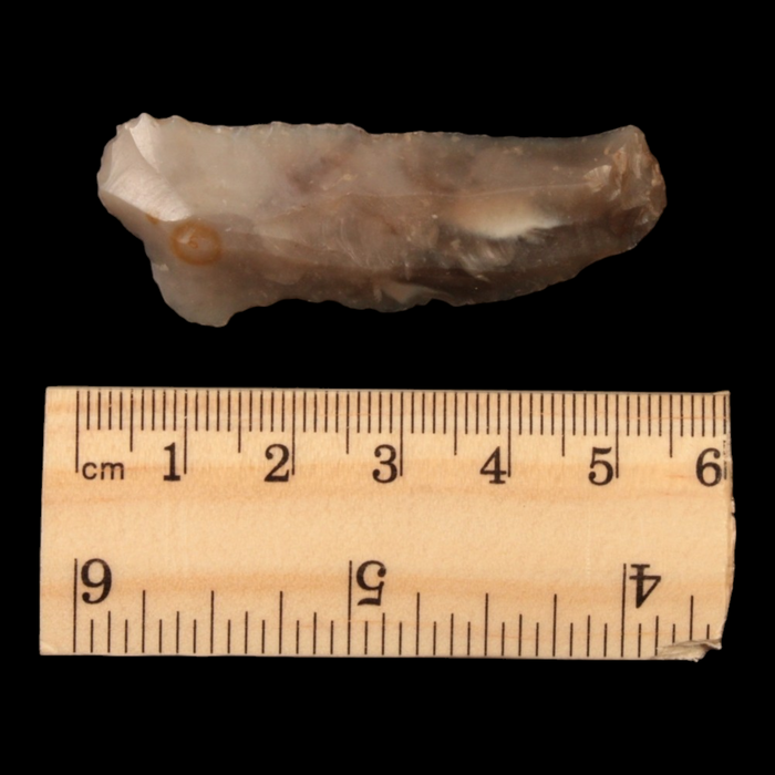 Danish Mesolithic Stone Tool, 2.0 inches (Blade or Scraper) - c. 9000 to 5000 BCE - Denmark - 1/17/23 Auction