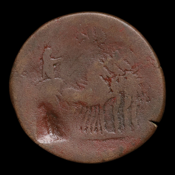 Egypt, Alexandria, Emperor Trajan, AE Drachm - 98 to 117 CE - Roman Provinces