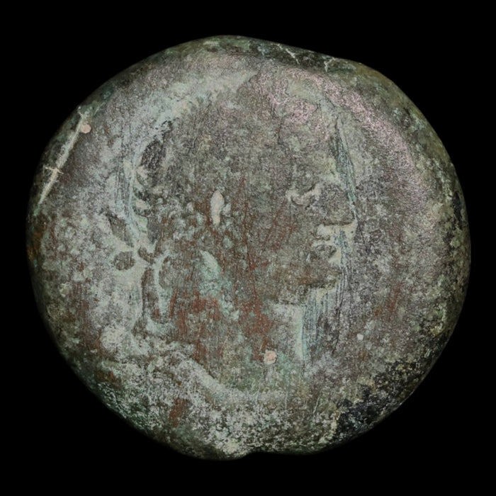 Egypt, Alexandria, Emperor Vespasian, AE Diobol, Serapis (Sun God) - 70 to 71 CE - Roman Provinces