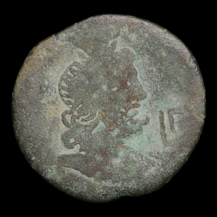 Egypt, Alexandria, Emperor Vespasian, AE Diobol, Serapis (Sun God) - 70 to 71 CE - Roman Provinces