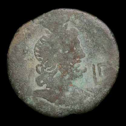 Egypt, Alexandria, Emperor Vespasian, AE Diobol, Serapis (Sun God) - 70 to 71 CE - Roman Provinces
