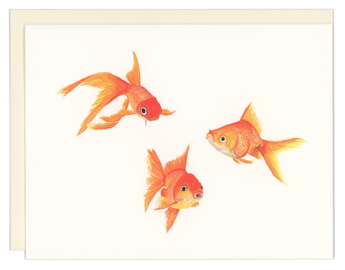 Goldfish