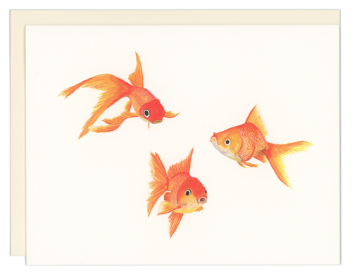 Goldfish