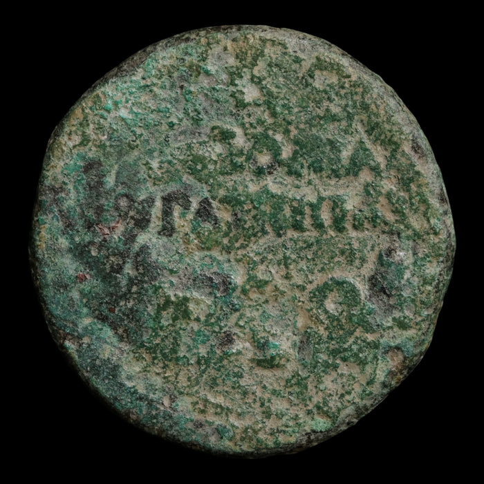 Hispania, Colonia Patricia, Augustus (First Emperor of Rome), AE Unit - 31 BCE to 14 CE - Roman Provinces