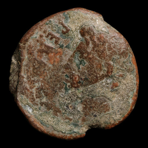 Hispania, Julia Traducta, Augustus (First Emperor of Rome), AE Unit - 31 BCE to 14 CE - Roman Provinces