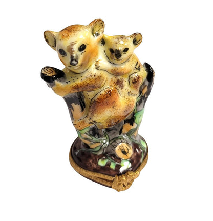 Koala Bear Family Limoges Box Porcelain Limoges bear wild animal French Trinket Box