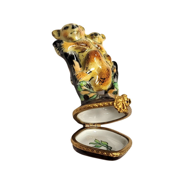 Koala Bear Family Limoges Box Porcelain Limoges bear wild animal French Trinket Box