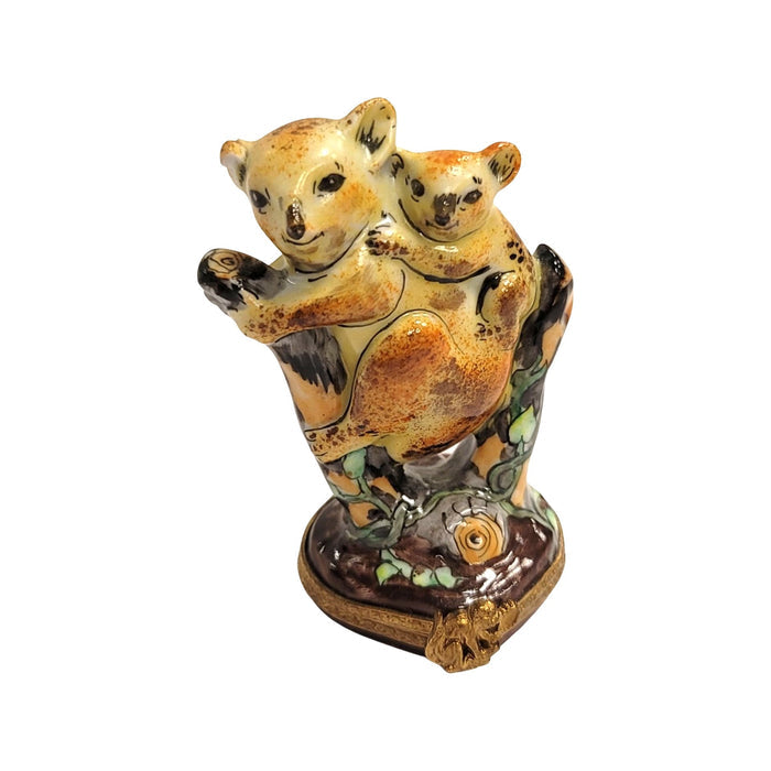 Koala Bear Family Limoges Box Porcelain Limoges bear wild animal French Trinket Box