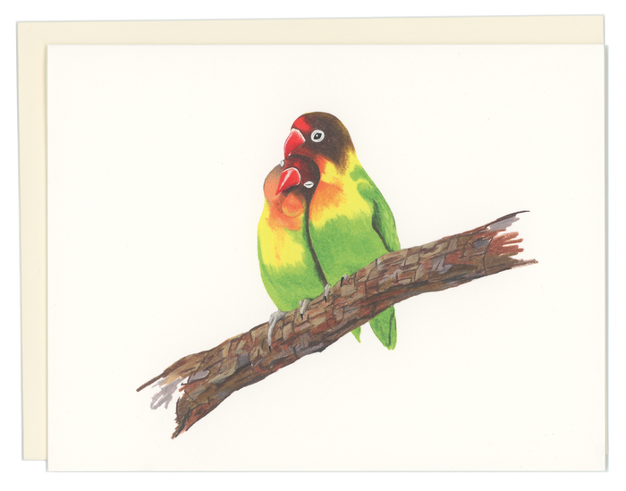 Lovebirds