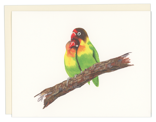Lovebirds