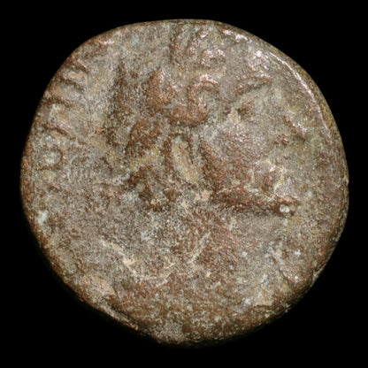 Lycaonia, Iconium, Emperor Antoninus Pius, AE Unit, Athena (Goddess of Wisdom) - 138 to 161 CE - Roman Provinces
