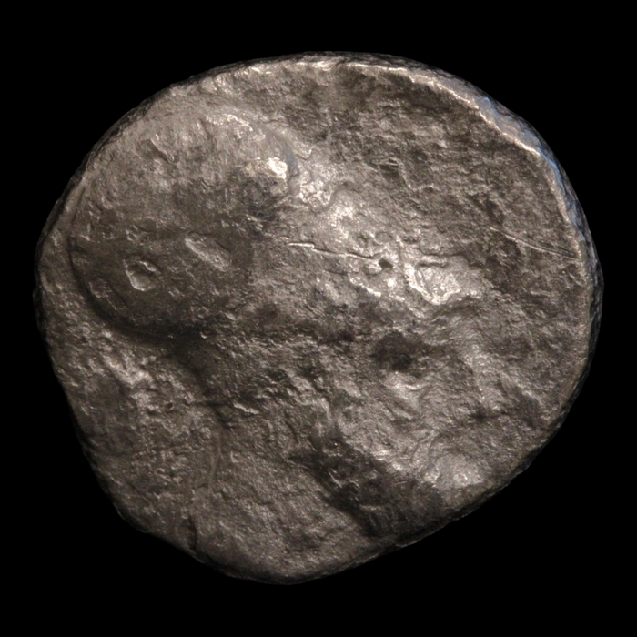 Metapontum, Greek Didrachm, Leukippos & Barley - c. 340 to 330 BCE - Magna Graecia, Italy