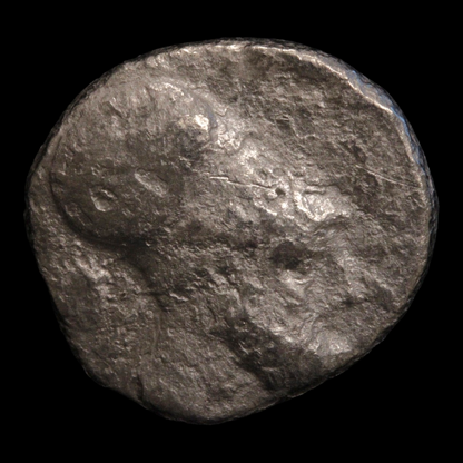 Metapontum, Greek Didrachm, Leukippos & Barley - c. 340 to 330 BCE - Magna Graecia, Italy