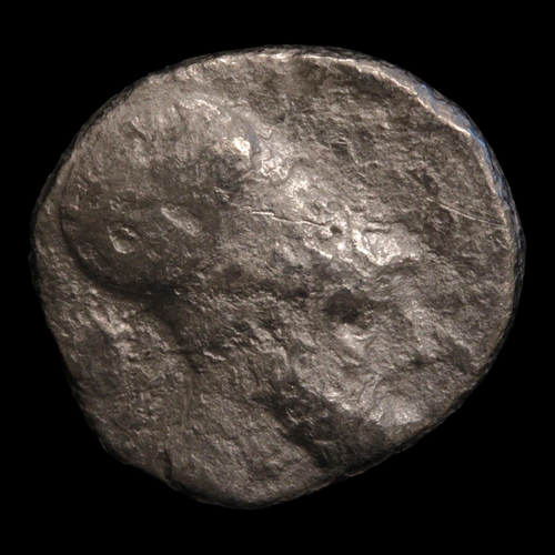 Metapontum, Greek Didrachm, Leukippos & Barley - c. 340 to 330 BCE - Magna Graecia, Italy
