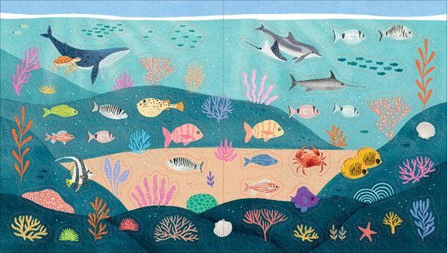 Ocean Lover's Sticker Book
