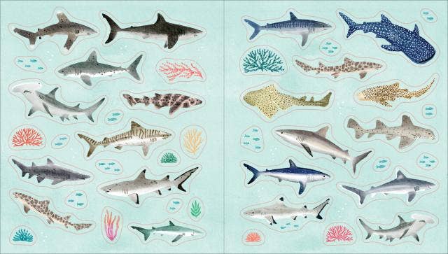 Ocean Lover's Sticker Book