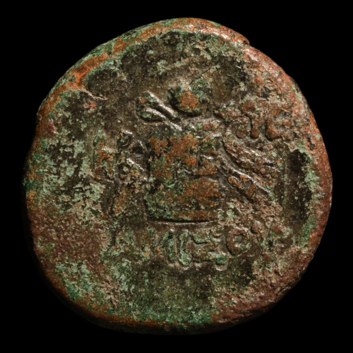 Pontus, City of Amisos, Bronze Unit, Dionysus (God of Wine) - c. 88 to 65 BCE - Greek World