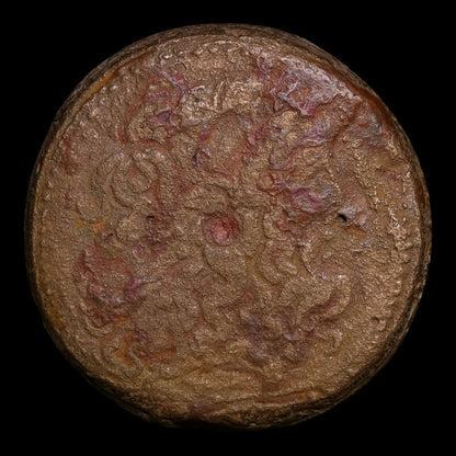 Ptolemaic Kingdom of Egypt, Ptolemy II, AE Drachm, Zeus Ammon & Eagle - 266 to 261 BCE - Ancient Egypt