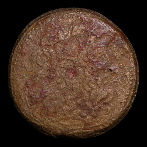Ptolemaic Kingdom of Egypt, Ptolemy II, AE Drachm, Zeus Ammon & Eagle - 266 to 261 BCE - Ancient Egypt