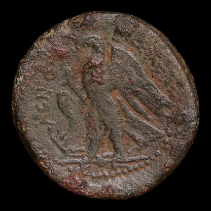 Ptolemaic Kingdom of Egypt, Ptolemy II, AE Obol, Alexander the Great & Eagle - 266 to 261 BCE - Ancient Egypt