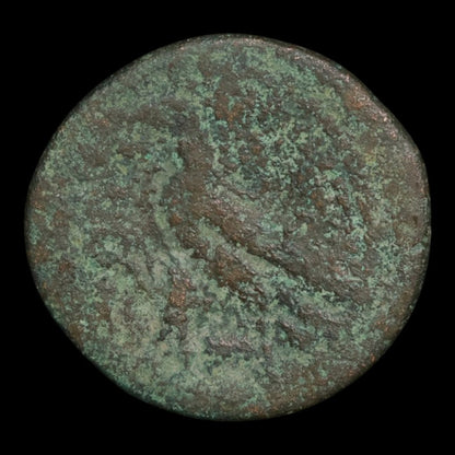 Ptolemaic Kingdom of Egypt, Queen Cleopatra VII, AE 40 Drachmae - 51 to 30 BCE - Ancient Egypt
