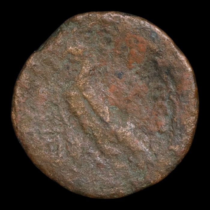 Ptolemaic Kingdom of Egypt, Queen Cleopatra VII, AE 40 Drachmae - 51 to 30 BCE - Ancient Egypt