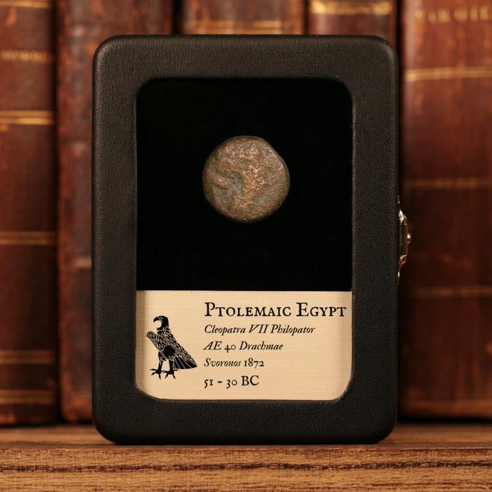 Ptolemaic Kingdom of Egypt, Queen Cleopatra VII, AE 40 Drachmae - 51 to 30 BCE - Ancient Egypt