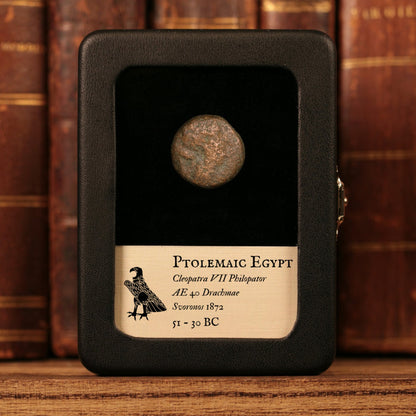 Ptolemaic Kingdom of Egypt, Queen Cleopatra VII, AE 40 Drachmae - 51 to 30 BCE - Ancient Egypt