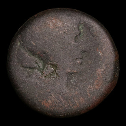 Ptolemaic Kingdom of Egypt, Queen Cleopatra VII, AE Diobol - 51 to 30 BCE - Ancient Egypt