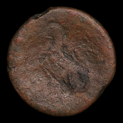 Ptolemaic Kingdom of Egypt, Queen Cleopatra VII, AE Diobol - 51 to 30 BCE - Ancient Egypt
