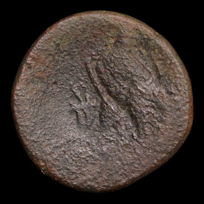 Ptolemaic Kingdom of Egypt, Queen Cleopatra VII, AE Diobol - 51 to 30 BCE - Ancient Egypt
