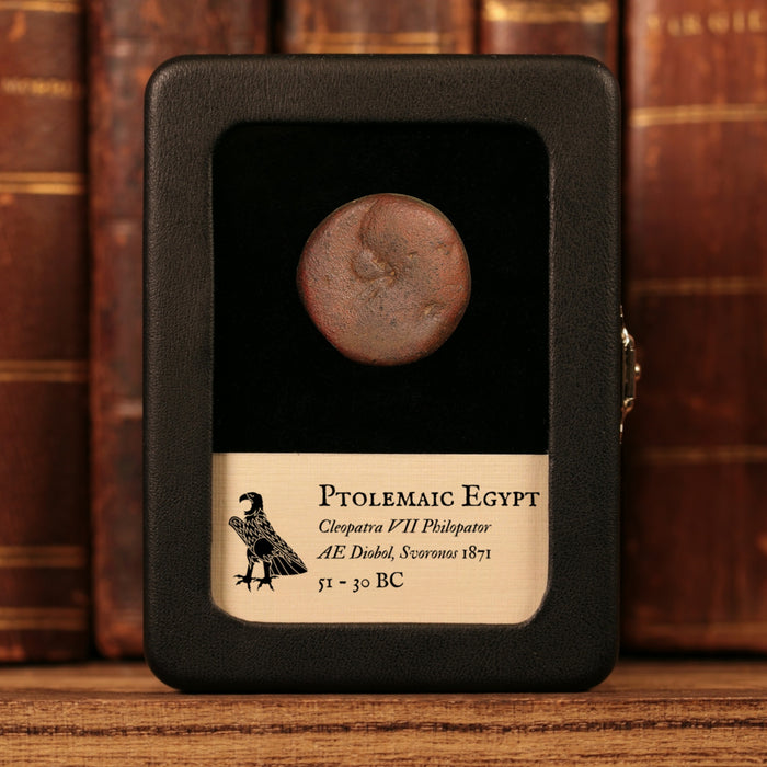 Ptolemaic Kingdom of Egypt, Queen Cleopatra VII, AE Diobol - 51 to 30 BCE - Ancient Egypt