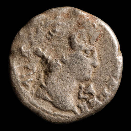 Roman Egypt, Emperor Otho (Rare Ruler), BI Tetradrachm, Roma (Goddess of Rome) - 69 CE - Roman Provinces