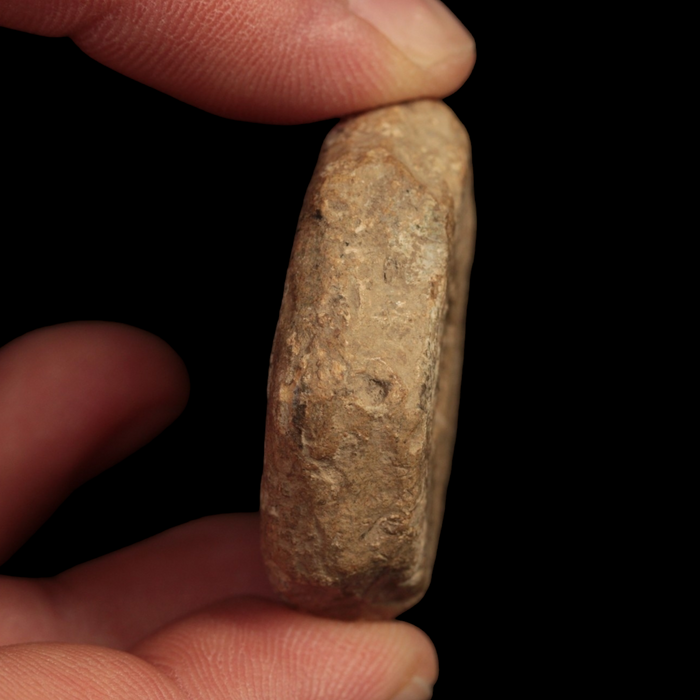 Roman or Byzantine Commercial Weight - c. 1 to 700 CE - Roman or Byzantine - 10/10/23 Auction
