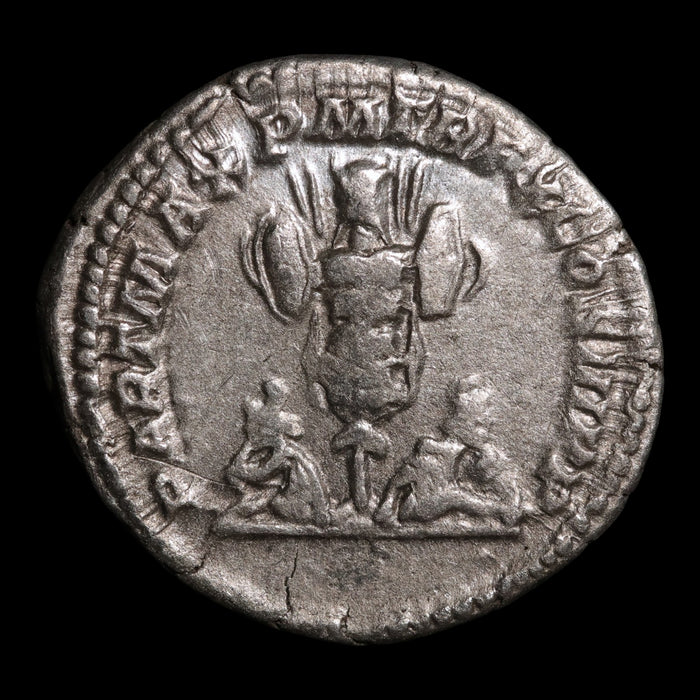 Rome, Emperor Septimius Severus, AR Denarius, War Trophy Reverse - 202 CE - Roman Empire