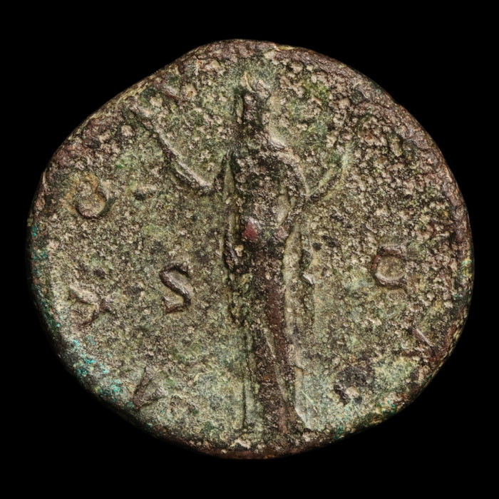 Rome, Faustina the Elder, Large Brass Sestertius, Ceres (Agriculture & Motherhood) - 141 CE - Roman Empire