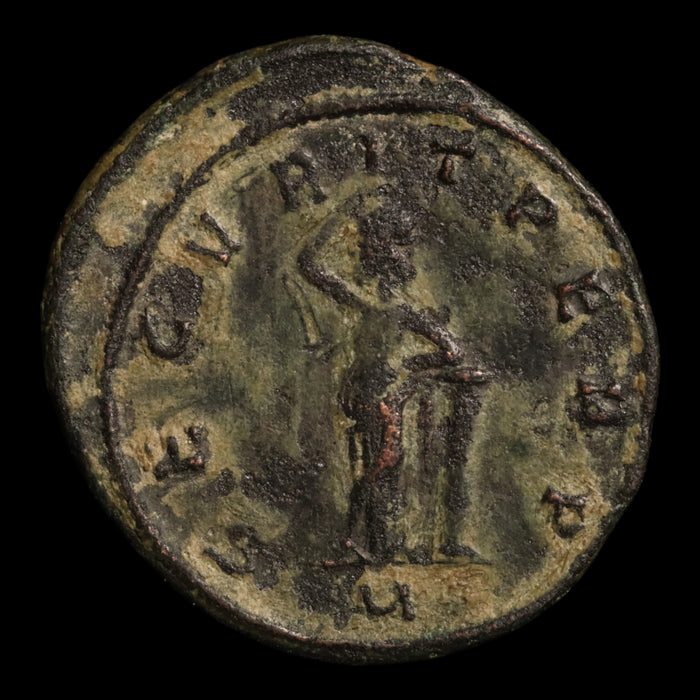 Rome, Tacitus (Rare Emperor), BI Antoninianus, Securitas (Goddess of Security) - 275 to 276 CE - Roman Empire