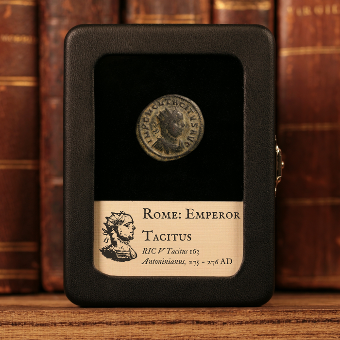 Rome, Tacitus (Rare Emperor), BI Antoninianus, Securitas (Goddess of Security) - 275 to 276 CE - Roman Empire
