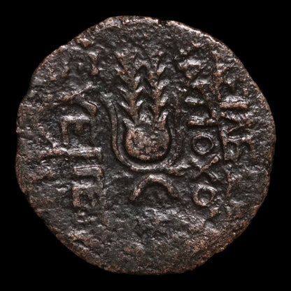 Seleucid Empire, Emperor Antiochus VII, AE Unit, Eros & Isis - 139 to 138 BCE - Greek World